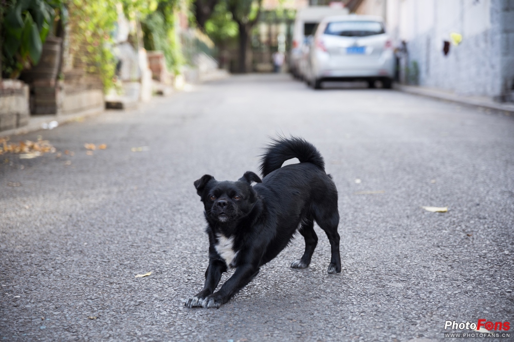 带上跑鞋去旅行,带着马去旅游的车