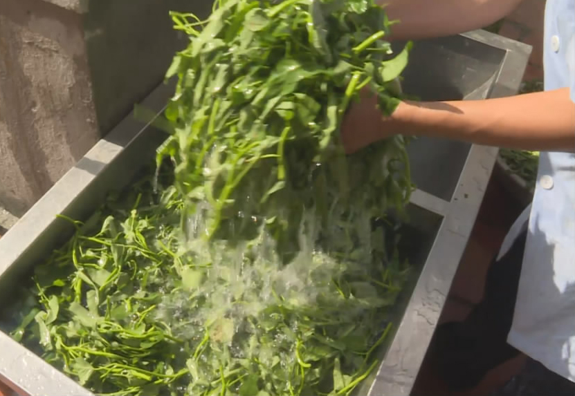 吃咋样？丰盛，健康，营养。舌尖上的保障，越南*队军**做得到，为啥