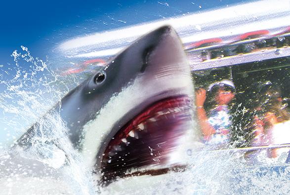 日本环球影城蜘蛛侠过山车,日本环球影城迪士尼攻略