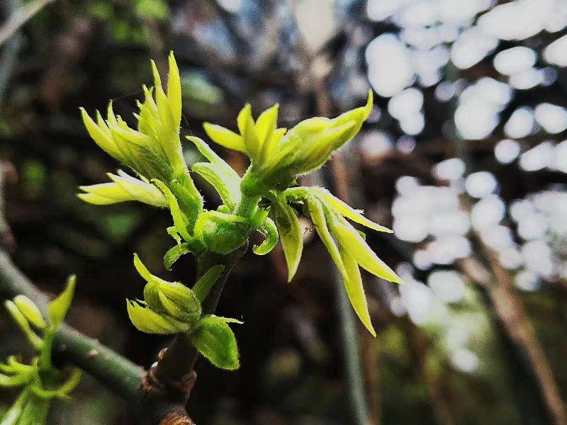 手拍世界作品集402期,2022年世界手机摄影大赛征稿