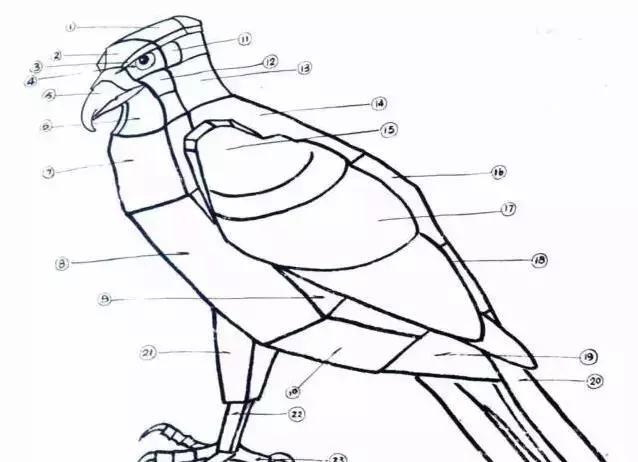 国画写实鹰怎么画,国画画鹰的技法