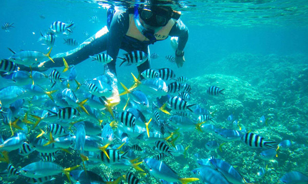 帕劳旅游攻略必去的景点,帕劳旅游攻略2015