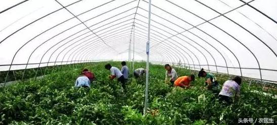 土地流转到底是谁在受益呢,土地流转如何获利