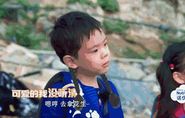 爸爸去哪儿5第3期视频直播,综艺爸爸去哪儿第六季妈妈探班