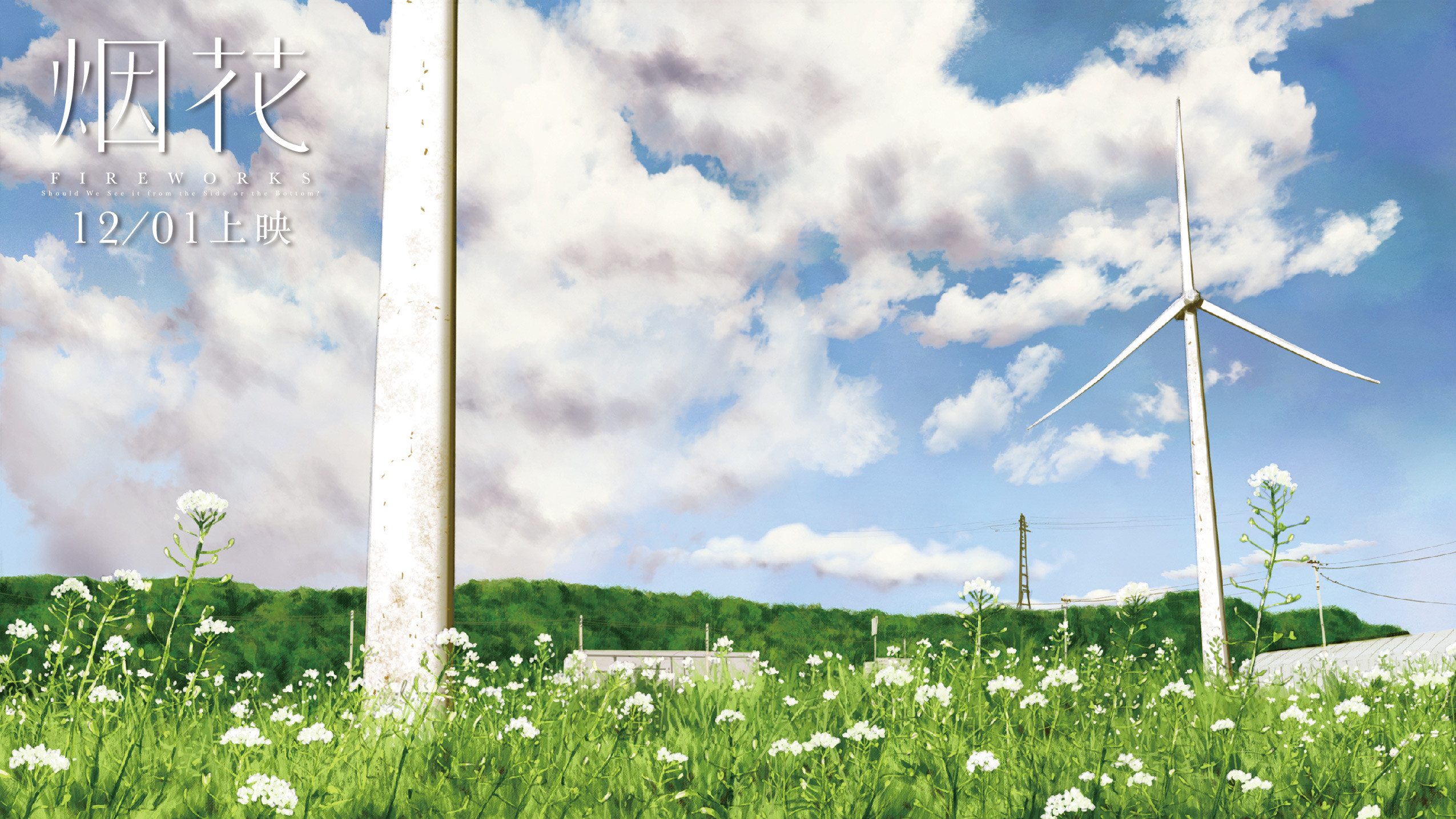 日本动漫烟花结局是什么意思,烟花电影结局官方解释