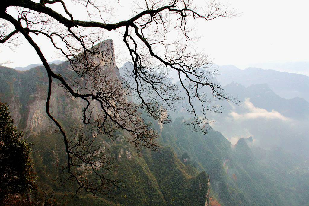天门山景区观景,天门山生态景区