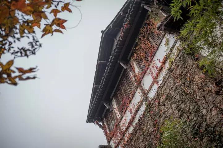 罗莱夏朵杭州紫萱度假村团购,杭州罗莱夏朵酒店日式餐厅