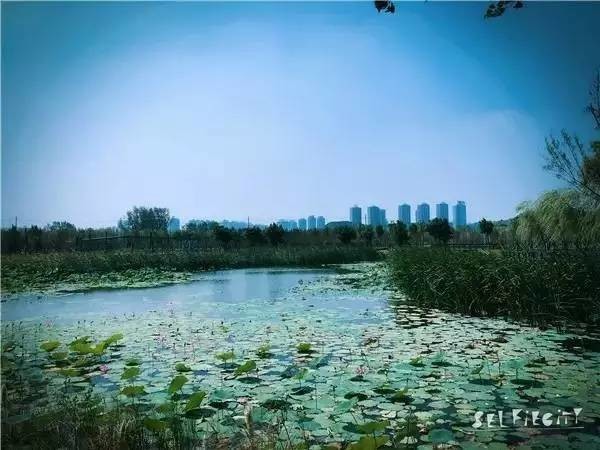 郑州公园推荐免费十一月,郑州免费公园景点推荐