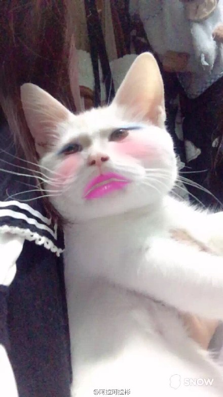 热成像特效能显示放屁吗,热成像放屁检测特效剪映