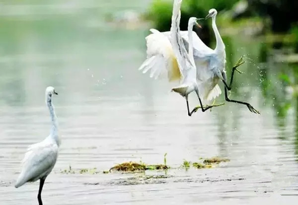 滕州风景名胜,山东滕州市旅游胜地