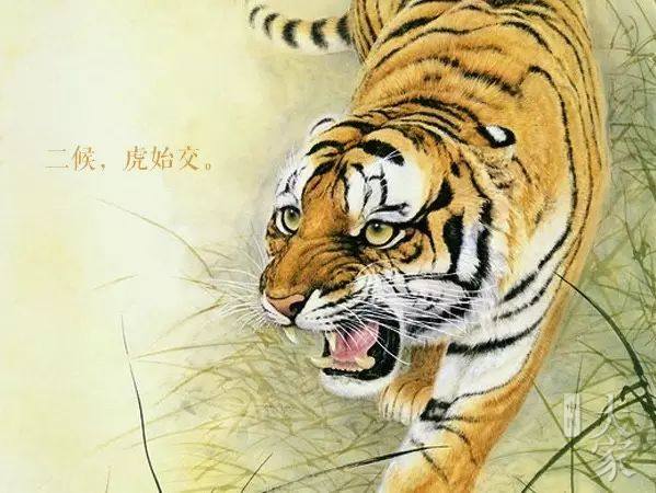 夜深知雪重的古诗,夜深知雪重的意思