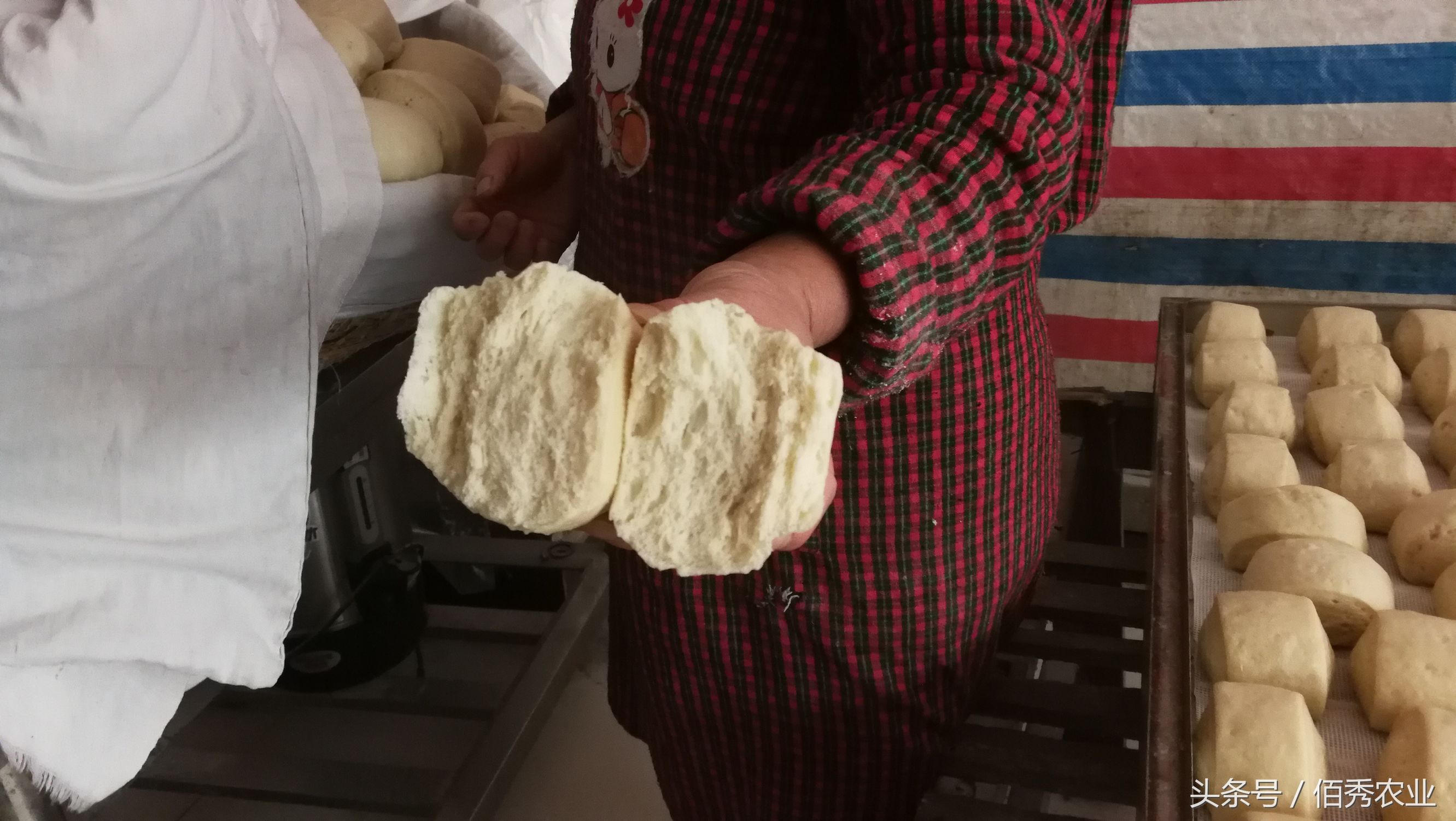 在农村做什么小生意能挣钱呢,农村干什么小生意比较能挣钱