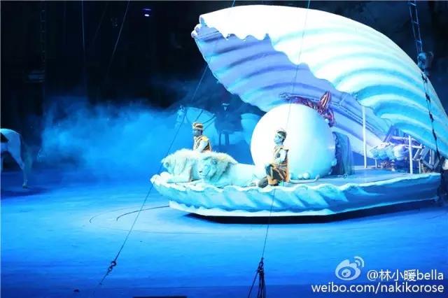 广州长隆亲子游最省钱攻略,广州长隆亲子游最全游玩攻略