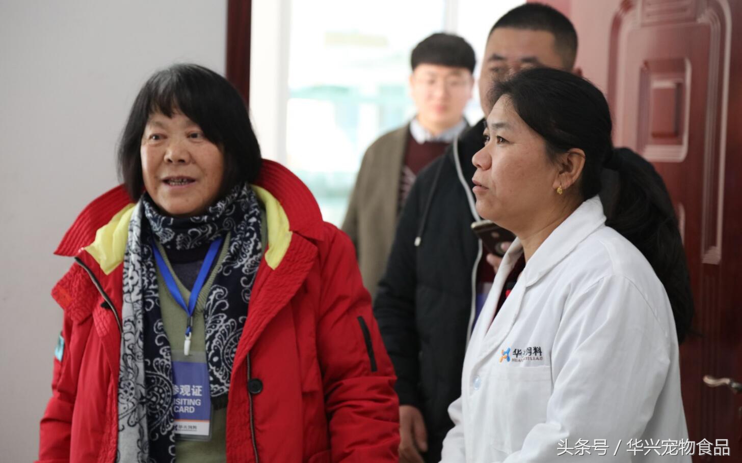 老人救助流浪狗20年,老奶奶收留50只流浪狗坚持了33年