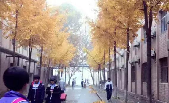 历城二中美术作品,手绘印象城市