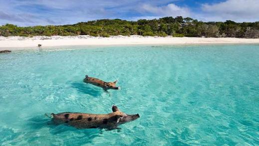 三亚马尔代夫海滩,马尔代夫有哪些著名海滩