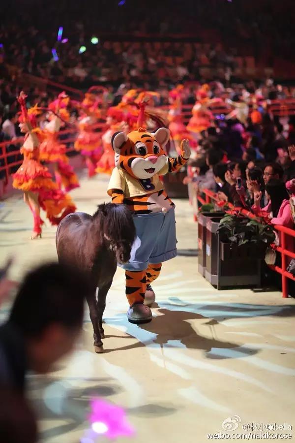 广州长隆亲子游最省钱攻略,广州长隆亲子游最全游玩攻略