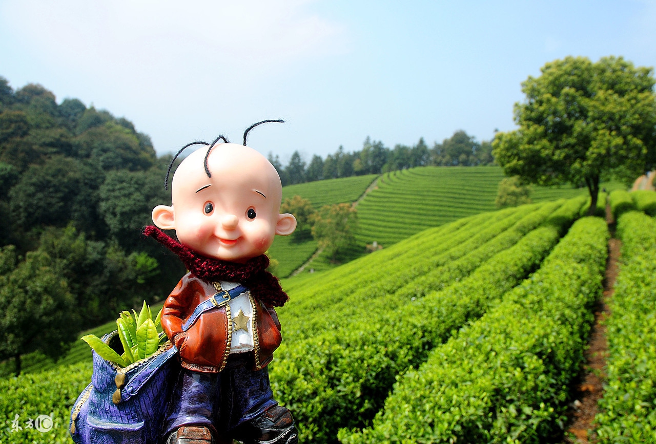 把千万人变成了“地中海”的凶手，仍然逍遥法外