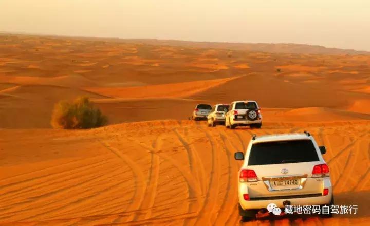 杩嫓绁炵娌欐紶涔嬫梾,杩嫓鏃呮父璧拌繘绁炲鑰屾ⅵ骞荤殑杩嫓