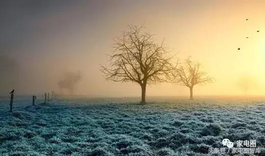 电磁炉市场前景,电磁炉现在还实用吗