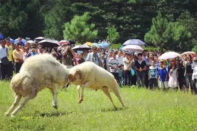 中国云南河口口岸,百年通商口岸