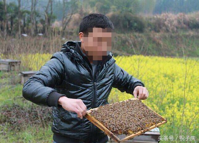 农村致富的6个创业项目点子,农村怎么创业赚钱点子