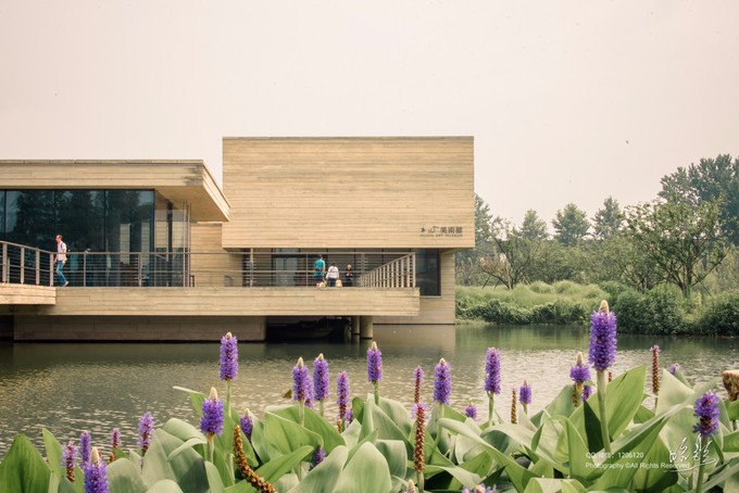 杭州乌镇的攻略,杭州乌镇什么时候去最好