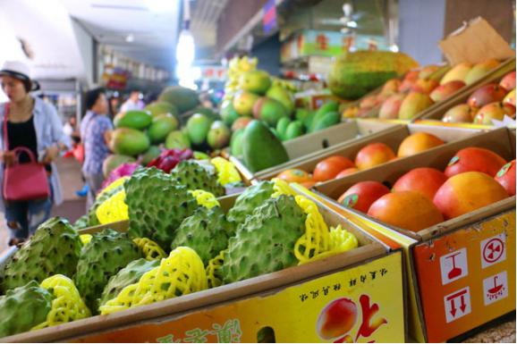 三亚市最美的景色拍摄,拍摄美丽三亚