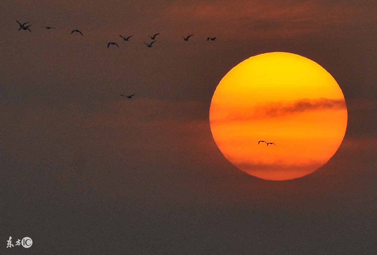 2020六年级下册小升初语文答题卡,小升初2022年语文试卷讲解部编版