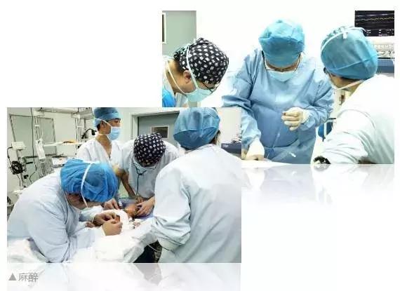 生命奇迹丨1100g，30周早产儿，心脏手术怎么做？