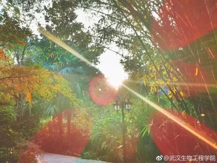 武汉地铁2号线有什么玩的,武汉哪条地铁线最方便