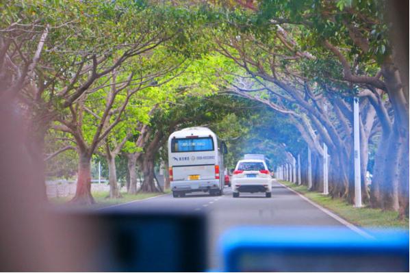 三亚市最美的景色拍摄,拍摄美丽三亚