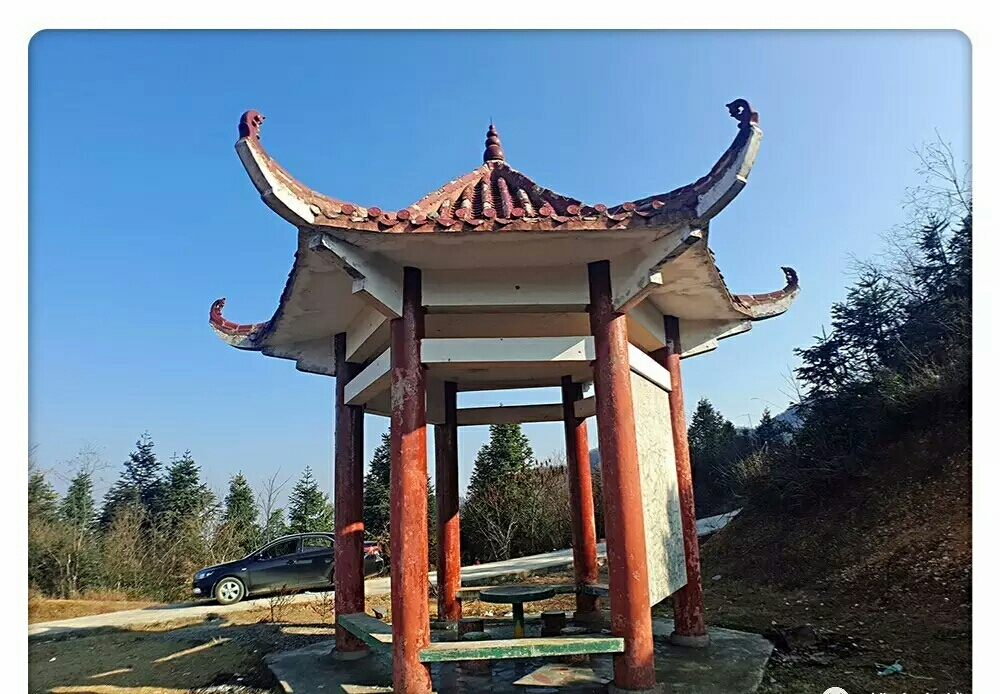 高山生态养殖石蛙,石蛙养殖海拔