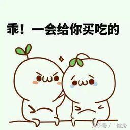 大量运动之后喝什么补剂比较好,运动营养学常见运动营养补剂