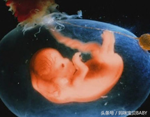 怀孕天天半夜肚子饿吃宵夜好吗,孕妇半夜肚子饿了一定要吃宵夜吗