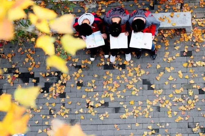 江西省上栗中学排名,江西省教育厅上栗中学