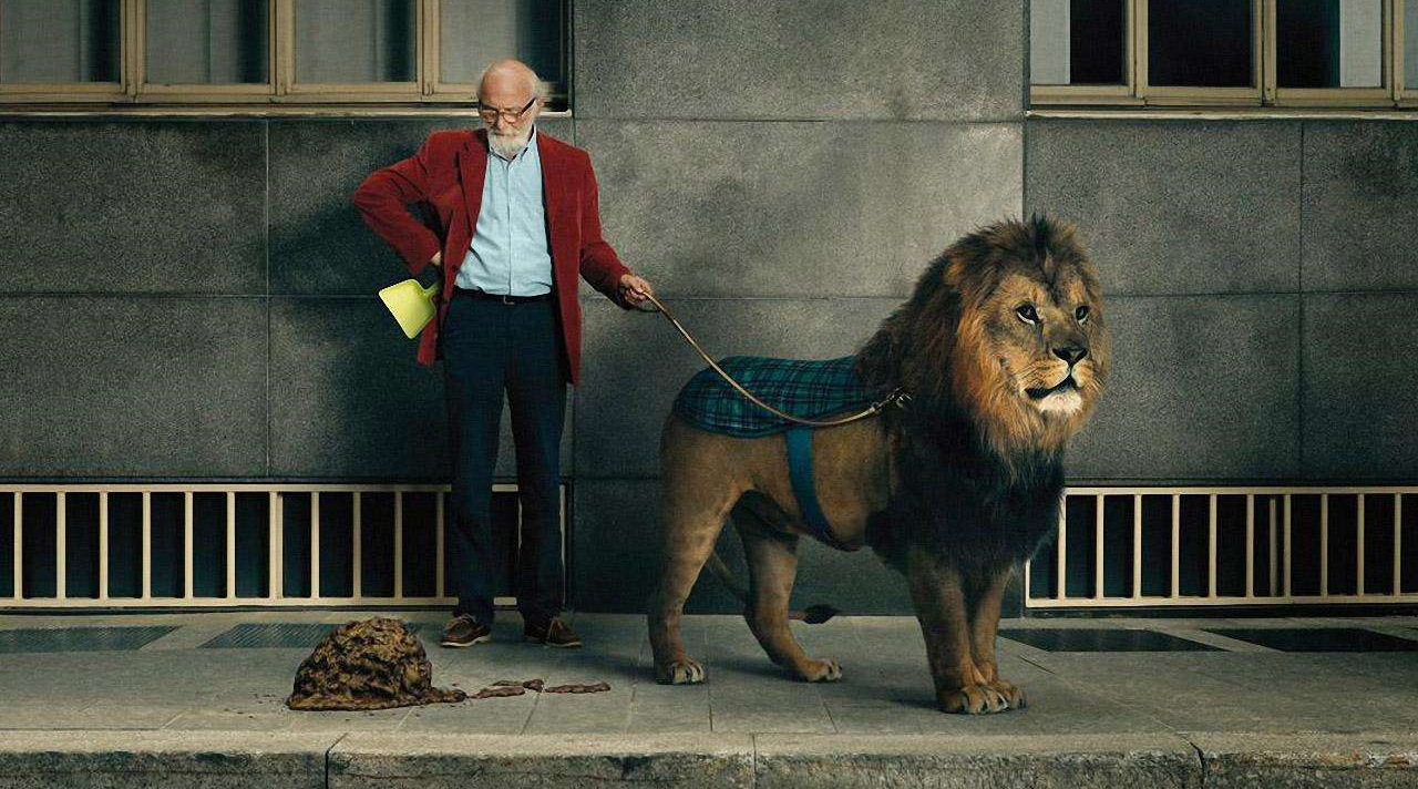 颜值鞋子推荐品牌男鞋,休闲鞋品牌性价比推荐