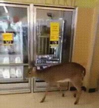 搞笑gif趣图舔冰激凌,少林龙爪手搞笑图片图文