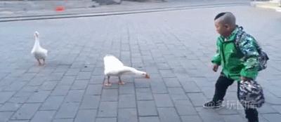 搞笑gif趣图舔冰激凌,少林龙爪手搞笑图片图文