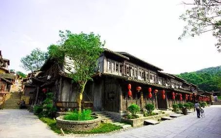 万万没想到!它低调了450多年,却因上海迪士尼一夜间火遍全国!