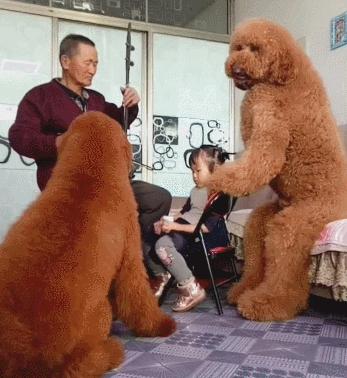 搞笑gif趣图舔冰激凌,少林龙爪手搞笑图片图文