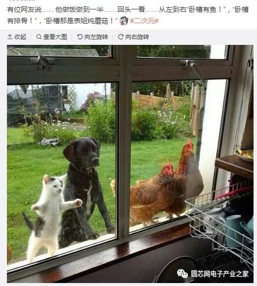 女人上辈子都是福尔摩斯吗,每一个女人都有当福尔摩斯的潜质