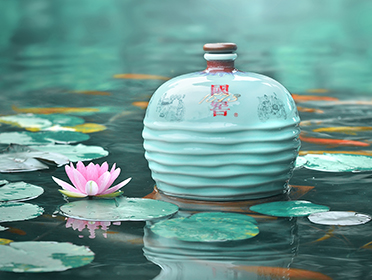 国窖1573对比茅台,茅台飞天五粮液国窖1573哪个好喝