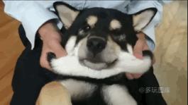 搞笑gif趣图舔冰激凌,少林龙爪手搞笑图片图文