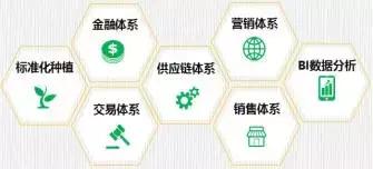 实体与互联网哪个才是未来的赢家,互联网和实体商业对决