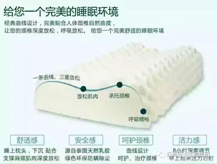 泰国皇家乳胶官网,泰国乳胶枕头骗局