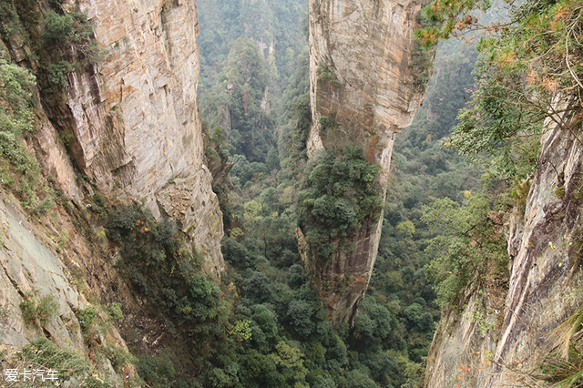 奥迪卓悦服务分为哪四方面,奥迪卓悦服务注意什么