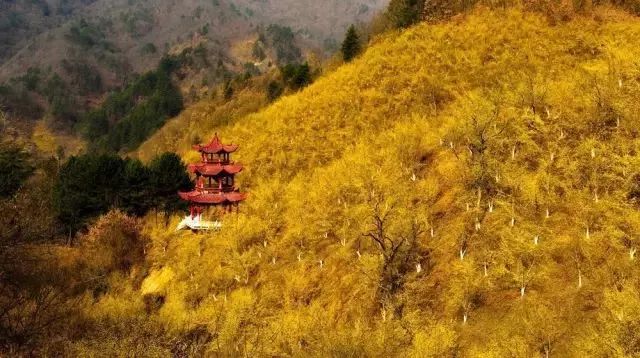 汉中自驾游旅游攻略最佳路线图,汉中旅游重点