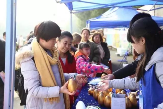 江岸区第三届大江金岸篮球赛,江岸区第二届大江金岸篮球赛