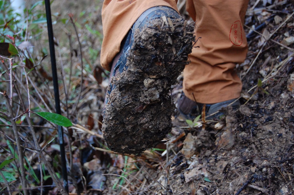 实测LOWA经典登山鞋RENEGADE,让我更从容面对自然